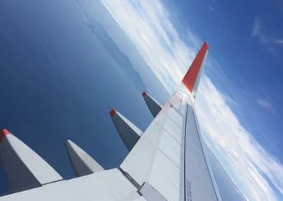 JAL Airplane Wing